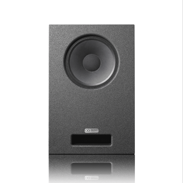 Ascendo Immersive Audio CCRM12-P Passive Speakers